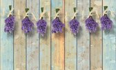 Fotobehang - Vlies Behang - Lavendel Bloemen aan de Waslijn - Gekleurde Houten Planken - 368 x 254 cm