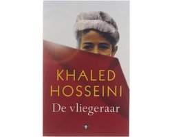 Samenvatting 'De Vliegeraar'