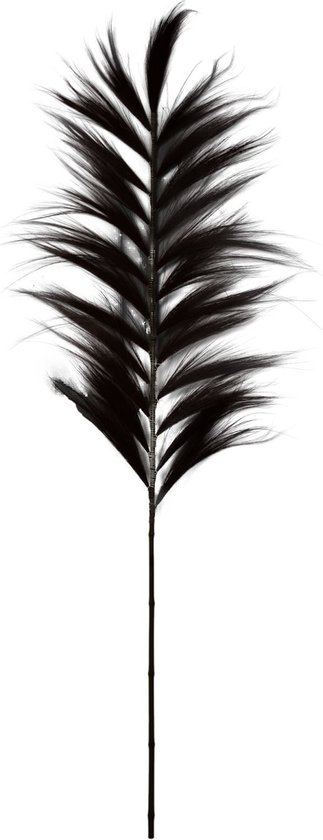 Plume déco - 65x2x175 - Zwart/ naturel - Bamboe