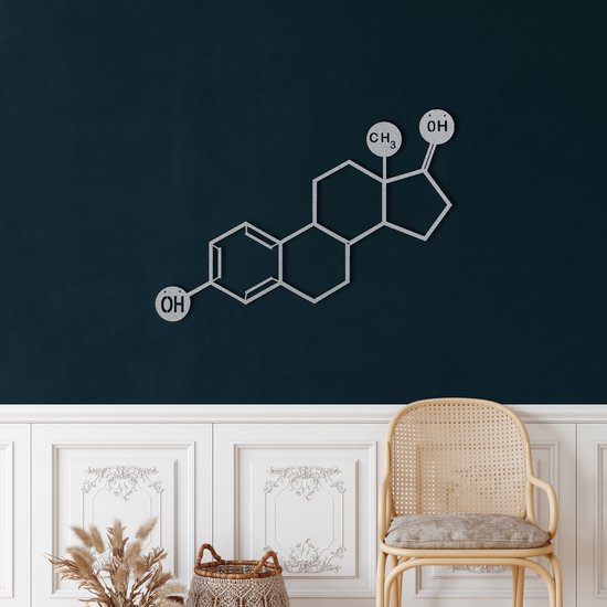 Wanddecoratie | Oestrogeen Molecuul / Estrogen Molecule| Metal - Wall Art | Muurdecoratie | Woonkamer | Buiten Decor |Zilver| 60x42cm