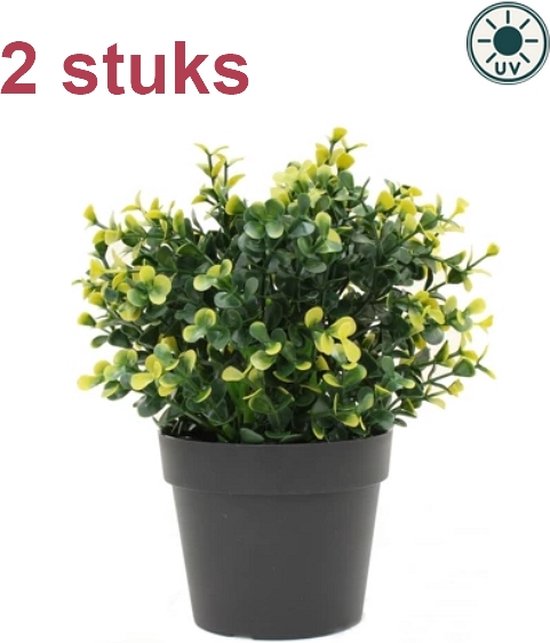 Kunstplant Buxus geel 19 cm UV - voor binnen en buiten (2 stuks)