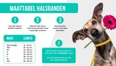 DWAM Dog with a Mission Halsband hond – Hondenhalsband – Geel – S – Leer – Halsomvang tussen 27-33 x 2 cm– Blue Star
