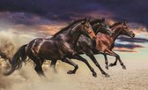 Fotobehang - Vlies Behang - Bruine Paarden in Galop - 416 x 254 cm