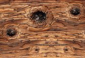 Fotobehang - Vlies Behang - Houten Plank - 254 x 184 cm