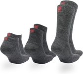 Norfolk - Chaussettes de marche - Chaussettes légères en laine mérinos avec absorption rapide de l'humidité - Rembourrage du talon aux orteils - 3 paires - Grijs - 39-42 - Sheldon Combo