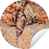 WallCircle - Stickers muraux - Cercle Papier Peint - Automne - Branches - Feuilles - 120x120 cm - Cercle Mural - Auto Adhésif - Sticker Papier Peint Rond XXL