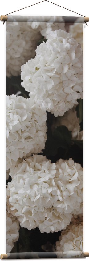 Textielposter - Bloemen - Planten - Wit - Bollen - Natuur - 40x120 cm Foto op Textiel