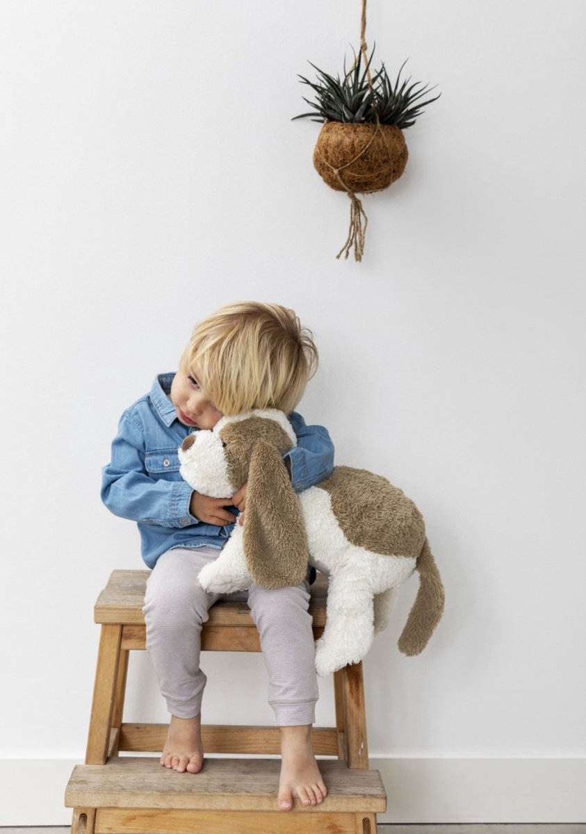 Happy Horse Hond David Knuffel 38cm - Wit/Beige - Baby knuffel — afbeelding 3