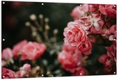 Tuinposter – Roze Bloemen in Natuur - 150x100 cm Foto op Tuinposter (wanddecoratie voor buiten en binnen)