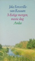 Mistige morgen mooie dag