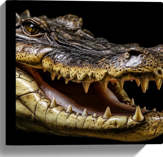 Canvas - Krokodil opent zijn bek en laat tanden zien voor zwarte achtergrond - 30x30 cm Foto op Canvas Schilderij (Wanddecoratie op Canvas)
