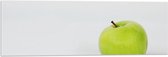 Acrylglas - Appel - Groen - Fruit - Gezond - 90x30 cm Foto op Acrylglas (Met Ophangsysteem)