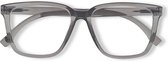 Ear2Ear 21710 Leesbril Newton - sterkte +1.50 - transparant grijs