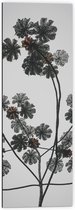 Dibond - Takken - Bloemen - Bladeren - 40x120 cm Foto op Aluminium (Wanddecoratie van metaal)