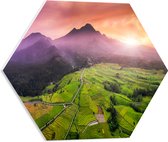 PVC Schuimplaat Hexagon - Uitzicht over de Rijstvelden in het Indonesische Landschap - 50x43.5 cm Foto op Hexagon (Met Ophangsysteem)