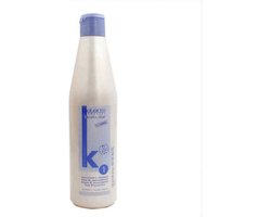 Anti-Frizz Shampoo Salerm (500 ml)
