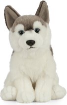 Pluche grijs/witte Husky hond knuffel 25 cm -Honden huisdieren knuffels - Speelgoed voor kinderen