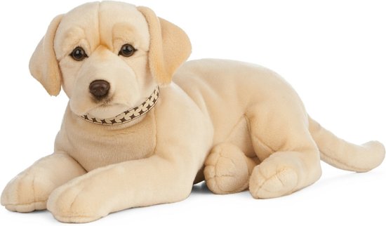Grote pluche blonde Labrador hond knuffel 60 cm - Honden huisdieren  knuffels -... | bol.com