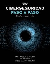 TÍTULOS ESPECIALES - Ciberseguridad paso a paso