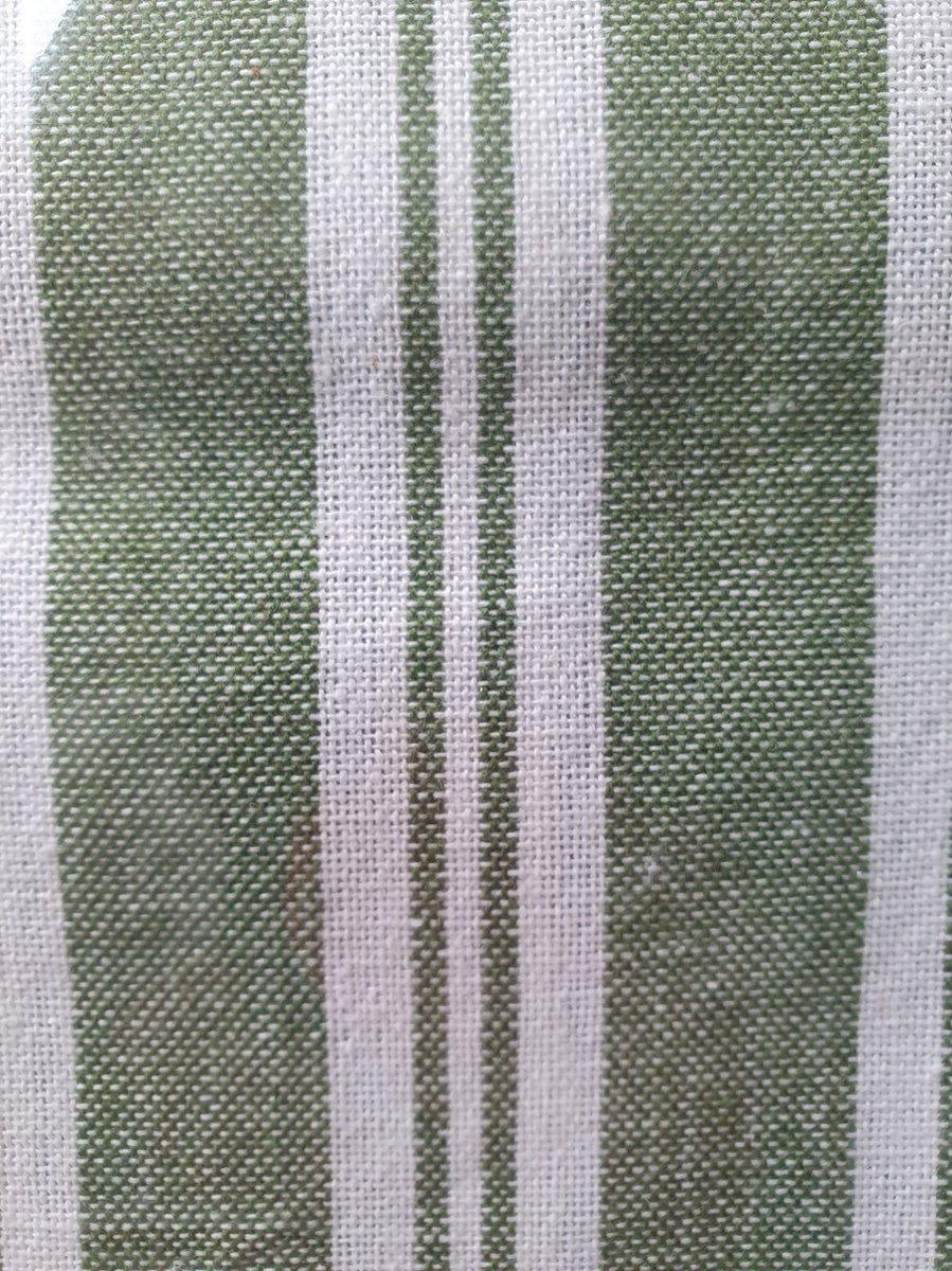 Villa-Volance-Tafelkleed-Groen-Gestreept-Katoen-240x140cm