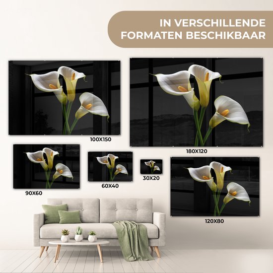 MuchoWow® Glasschilderij 30x20 cm - Schilderij acrylglas - Planten - Bloemen - Wit - Natuur - Botanisch - Foto op glas - Schilderijen