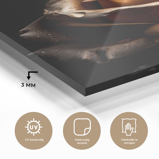 MuchoWow® Peinture sur verre - Rose - Or - Fleurs - Botanique Zwart - 20x30 cm - Peintures sur verre acrylique - Photo sur Glas