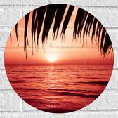 Muursticker Cirkel - Palmbladeren Hangend boven Zee met Rode Gloed - 40x40 cm Foto op Muursticker