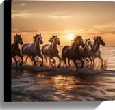 Canvas - Kudde Galopperende Paarden in de Zee bij Zonsondergang - 30x30 cm Foto op Canvas Schilderij (Wanddecoratie op Canvas)