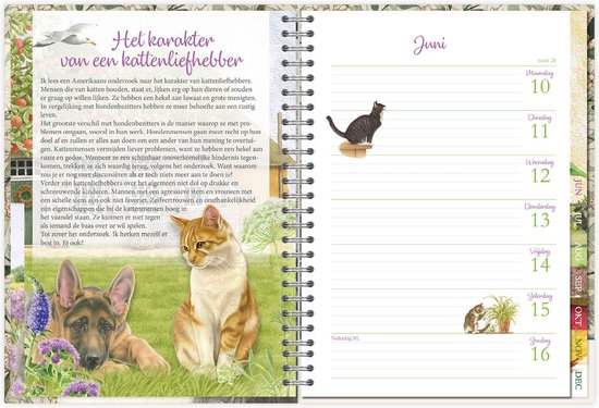 Franciens Katten Bureau-agenda (harde kaft) Mozes | bol