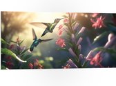 PVC Schuimplaat- Kolibries Vliegend bij Roze Plantgjes - 100x50 cm Foto op PVC Schuimplaat