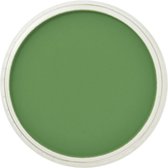 PanPastel - Chromium Oxide Green