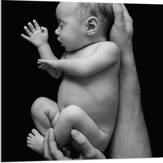 Acrylglas - Pasgeboren Baby in Handen van Vader (Zwart- wit) - 80x80 cm Foto op Acrylglas (Wanddecoratie op Acrylaat)