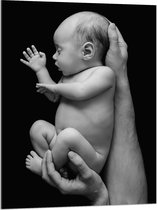 Acrylglas - Pasgeboren Baby in Handen van Vader (Zwart- wit) - 75x100 cm Foto op Acrylglas (Wanddecoratie op Acrylaat)