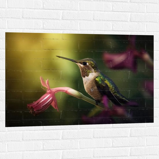 Muursticker - Kolibrie op Groene Tak van Roze Lelie Bloem - 105x70 cm Foto op Muursticker