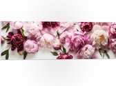 PVC Schuimplaat- Mix van Roze Bloemen op Witte Achtergrond - 90x30 cm Foto op PVC Schuimplaat