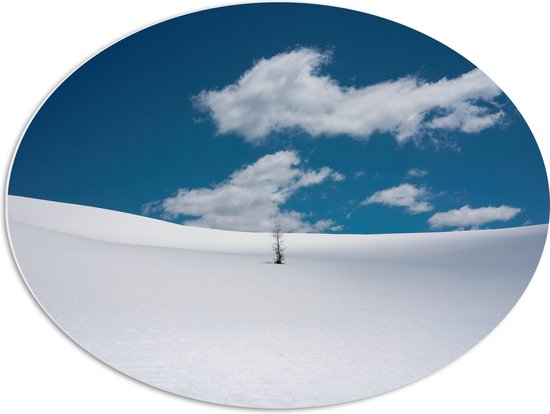 PVC Schuimplaat Ovaal - Landschap - Sneeuw - Boompje - 80x60 cm Foto op Ovaal (Met Ophangsysteem)