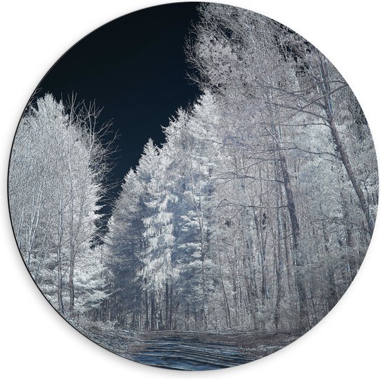 Dibond Muurcirkel - Pad - Bomen - Bossen - Donker - Kleuren - 60x60 cm Foto op Aluminium Muurcirkel (met ophangsysteem)