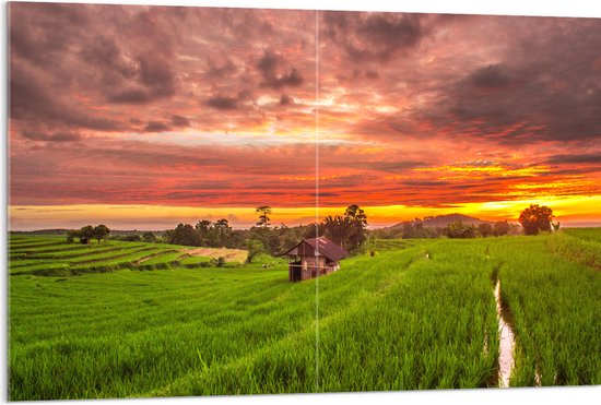 Acrylglas - Zonsondergang bij de Thaise Rijstvelden - 120x80 cm Foto op Acrylglas (Wanddecoratie op Acrylaat)