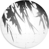 PVC Schuimplaat Muurcirkel - Planten - Bladeren - Muur - Schaduw - Zwart - Wit - 60x60 cm Foto op Muurcirkel (met ophangsysteem)