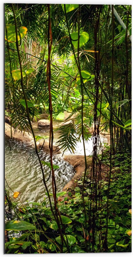 Dibond - Planten - Water - Tropisch - Bomen - Groen - 50x100 cm Foto op Aluminium (Wanddecoratie van metaal)