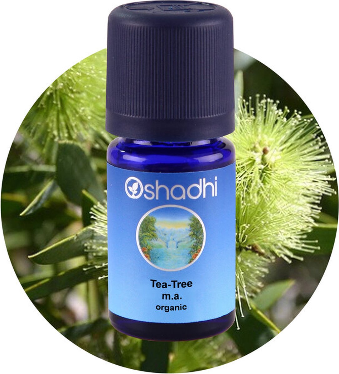 Goedkoopste Etherische olie, Tea tree, organic, Oshadhi, 5 ml