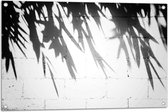 Tuinposter – Planten - Bladeren - Muur - Schaduw - Zwart - Wit - 90x60 cm Foto op Tuinposter (wanddecoratie voor buiten en binnen)