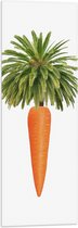 Vlag - Wortel aan Palmboom Bladeren tegen Witte Achtergrond - 30x90 cm Foto op Polyester Vlag