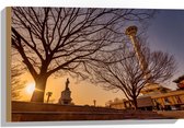 Hout - Grote Boom op Plein - 60x40 cm - 9 mm dik - Foto op Hout (Met Ophangsysteem)