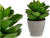 Decoratieve plant Grijs Groen Plastic (16 x 20 x 16 cm)