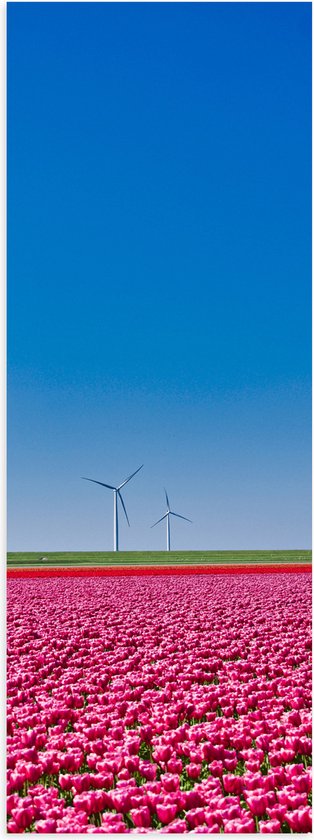 Poster Glanzend – Bloemen - Bloemenveld - Tulpen - Landschap - Windmolens - Nederland - Kleuren - 40x120 cm Foto op Posterpapier met Glanzende Afwerking