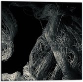 Dibond - Witte Draden en Stammen tegen Zwarte Achtergrond - 50x50 cm Foto op Aluminium (Wanddecoratie van metaal)