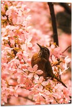 Tuinposter – Bloemen - Dieren - Vogel - Kleuren - 70x105 cm Foto op Tuinposter (wanddecoratie voor buiten en binnen)