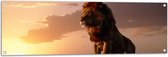 Tuinposter – Leeuw op Rots met Zonsondergang - 120x40 cm Foto op Tuinposter (wanddecoratie voor buiten en binnen)