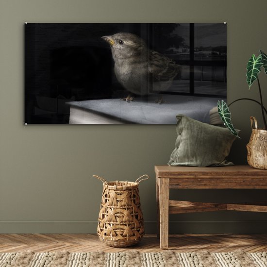 MuchoWow® Glasschilderij 120x60 cm - Schilderij acrylglas - Vogel - Boeken - Portret - Foto op glas - Schilderijen